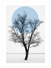 Sükûnet - Poster Seti Duo